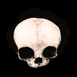 An image for a favicon for this page that includes a transparent image of a skull